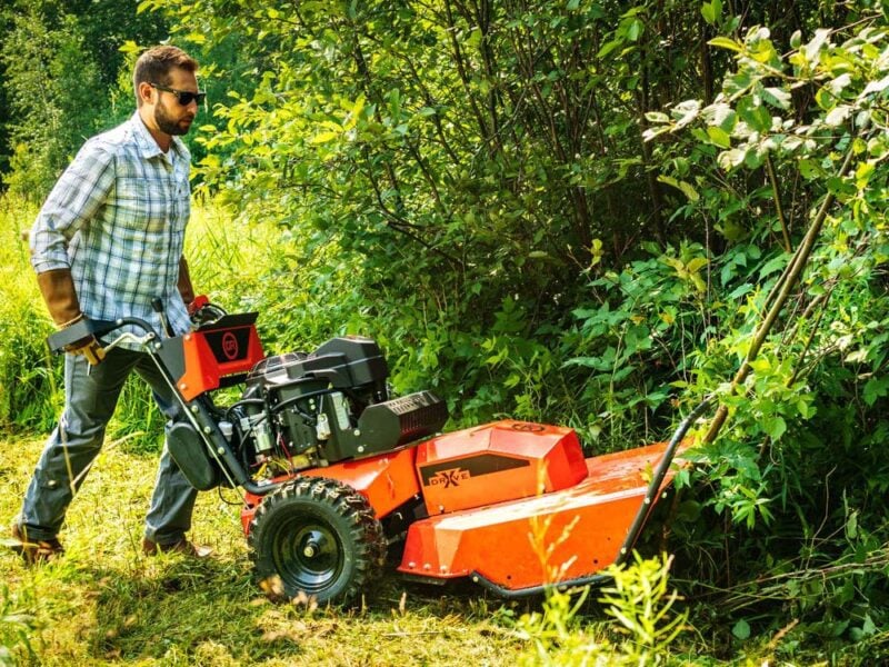 XD30 Cutting Saplings