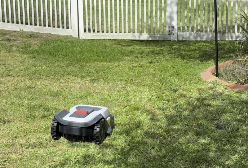 robotic-mower-yard