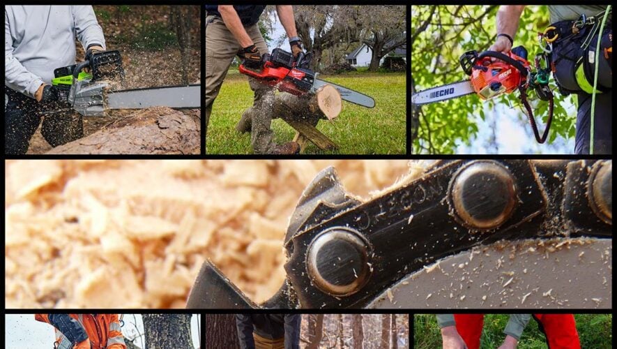 Best Battery-powered Chainsaws