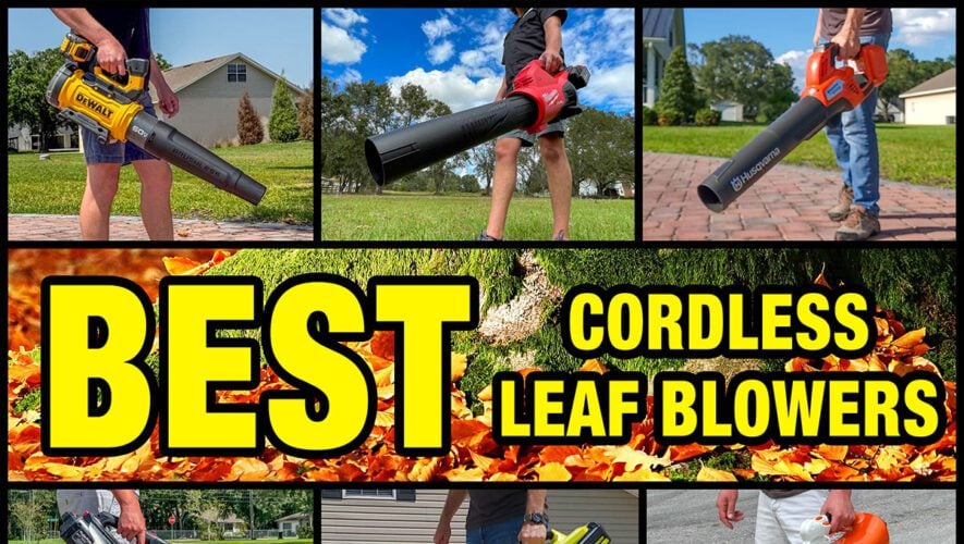 Best Cordless Leaf Blower 2025