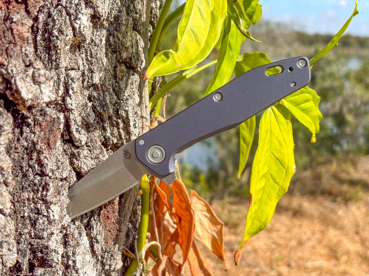 Gerber Fastball Review